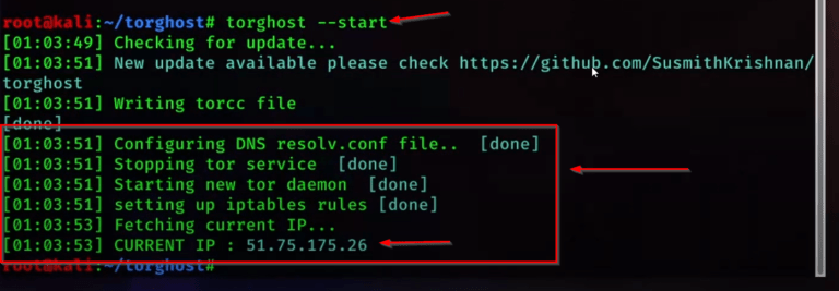 biglybt hide ip