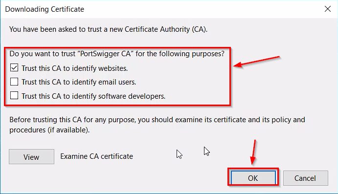 Burp Suite Professional Crack