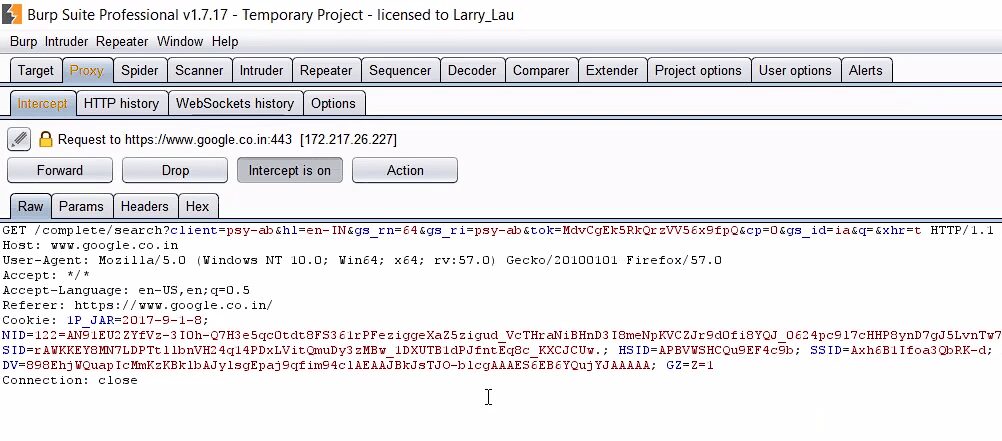 Burp Suite Professional Crack