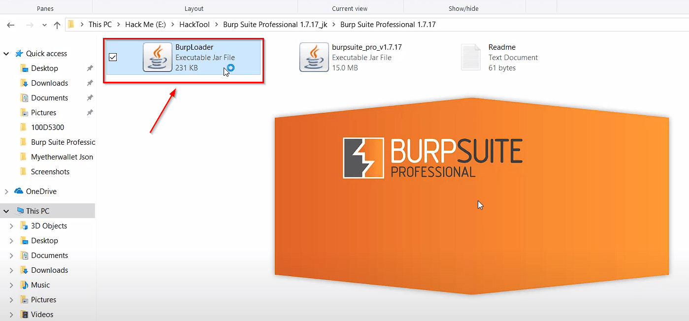 burp suite professional edition