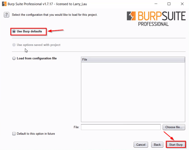download burp suite professional for windows download burp suite professional for windows