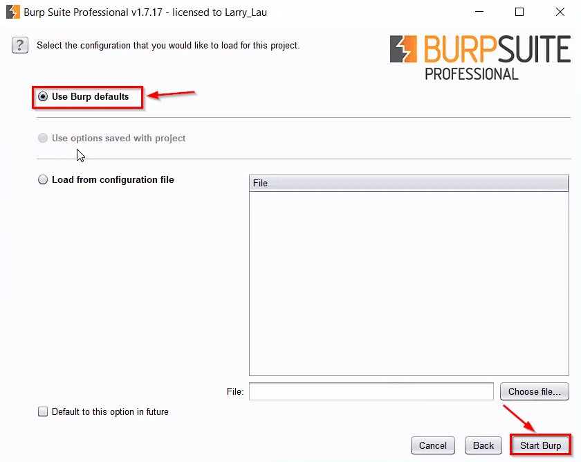 Burp Suite Professional Crack