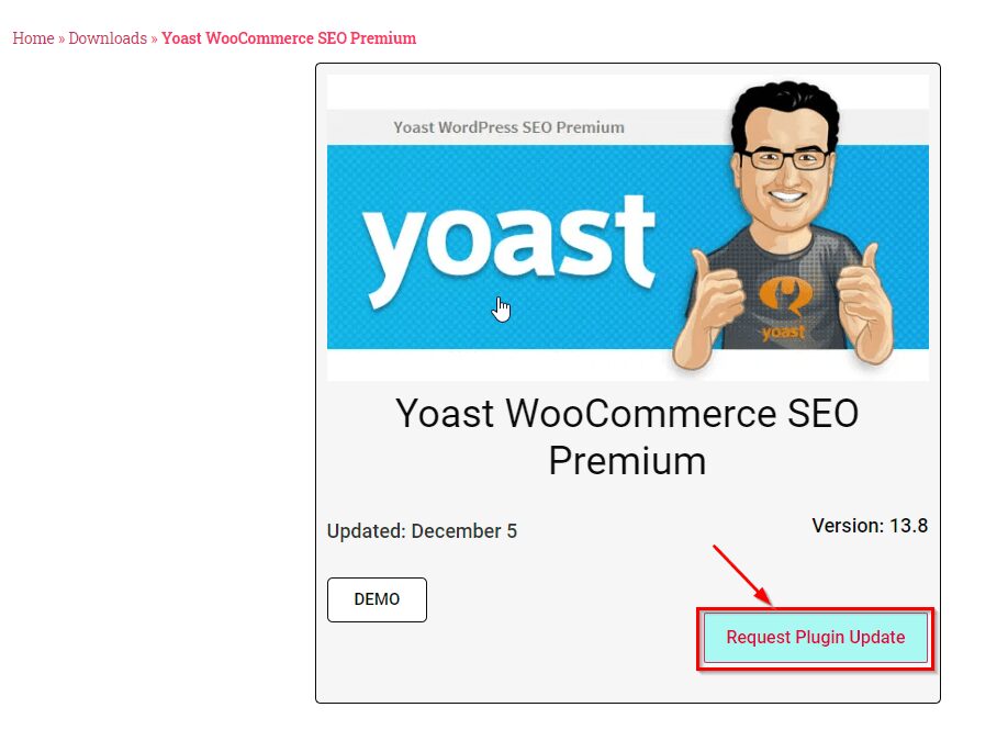 WordPress Premium Themes Free