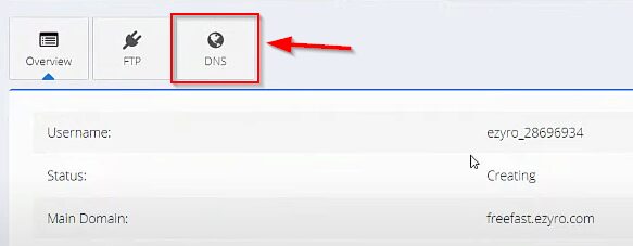 Add Custom Domain To The Profreehost