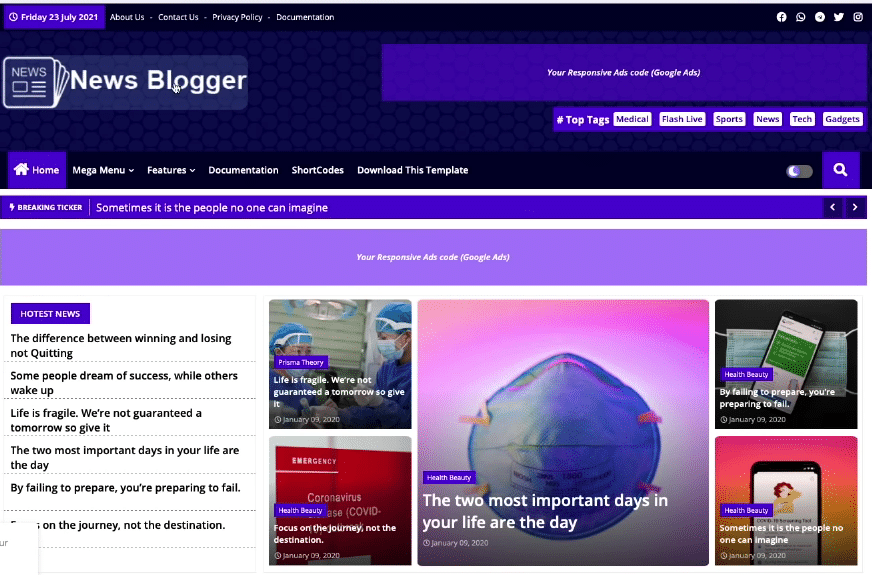 Professional Blogger Template Download