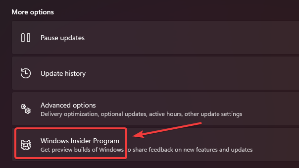 Buff Gaming Not Opening Error