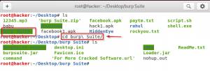 Как удалить burp suite linux