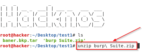 Unzip the Zip and Tar Files in Kali Linux.